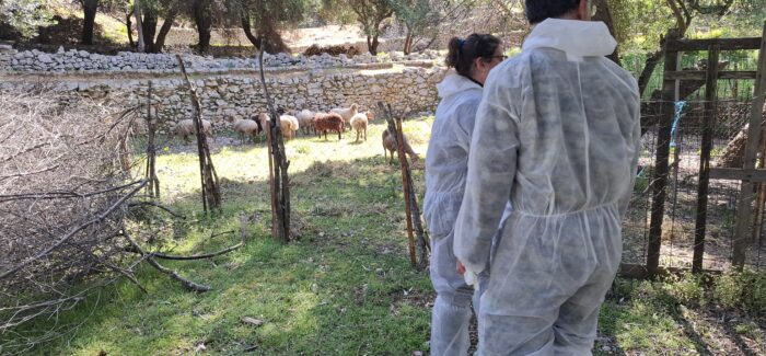 Διενέργεια προβλεπόμενων ελέγχων σε κτηνοτροφικές μονάδες της Π.Ε. Ιθάκης