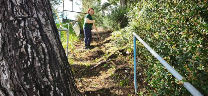 Οι εθελοντές του “Πρόνησου” έκαναν πεντακάθαρο τον Πόρο Κεφαλονιάς!
