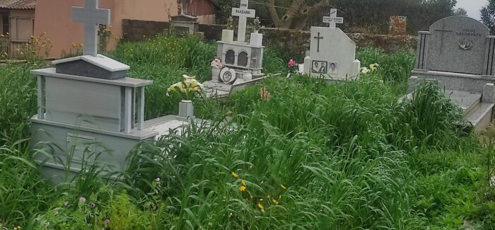 Κοθρέας :  οι Σύγχρονοι Φαρισαίοι, οι Ψευδομάρτυρες και η Ζούγκλα των Ερπετών