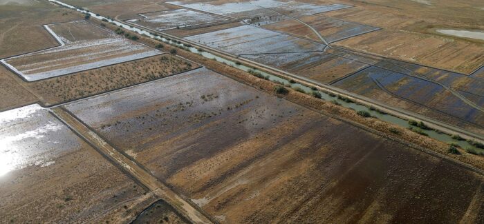 Αποκατάσταση των φυσικών υγρολίβαδων στο Δέλτα Έβρου
