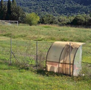 Για τον Πόρο… Όταν το σκουλήκι γίνεται άλλοθι