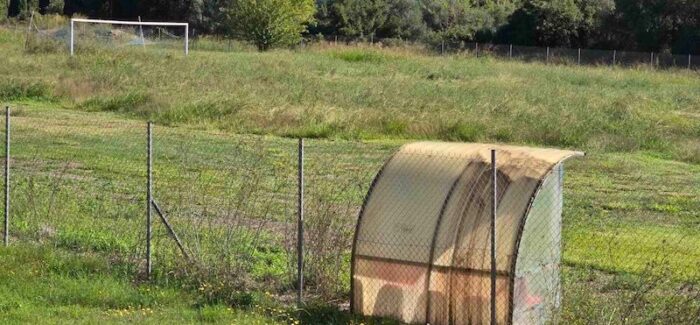 Για τον Πόρο… Όταν το σκουλήκι γίνεται άλλοθι