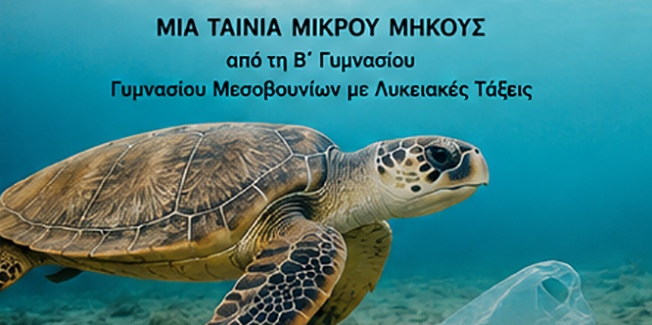 Διάκριση του Γυμνασίου Μεσοβουνίων με Λυκειακές Τάξεις στον Πανελλήνιο Διαγωνισμό Bravo Schools 2026