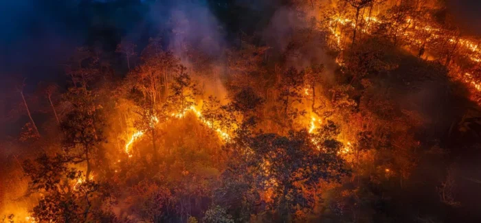 Οι φωτιές στη Θεσσαλονίκη δεν είναι «φυσική καταστροφή».  Είναι  αποτέλεσμα μιας εγκληματικής πολιτικής.