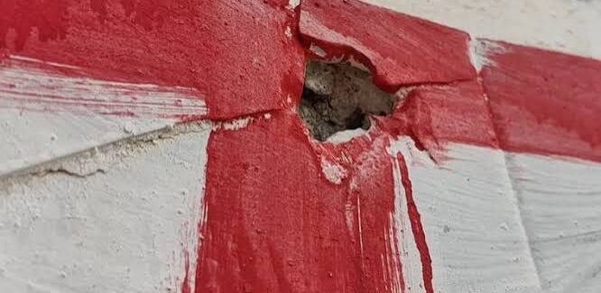 Το σκυλολόι των θαυμαστών της βαναυσότητας