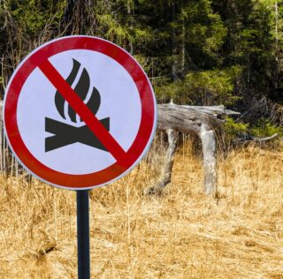 Απαγόρευση κυκλοφορίας οχημάτων και εκδρομέων στον Εθνικό Δρυμό Αίνου
