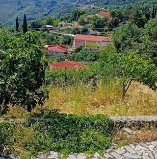 Ευχαριστήριο Προέδρου Κοινότητας Ξενόπουλου προς τον Δήμαρχο  Αργοστολίου,  για την ολοκλήρωση της αποκατάστασης του πρώην Δημοτικού Σχολείου Καπανδριτίου