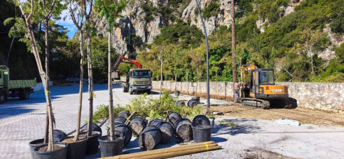 Άρχισε η δενδροφύτευση στον Κοινοτικό χώρο του Πόρου Κεφαλονιάς!