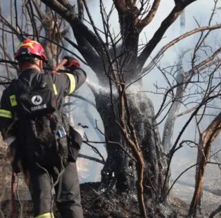 Πυρκαγιά στην Κεφαλονιά: Μήνυμα του 112 για εκκένωση τριών οικισμών