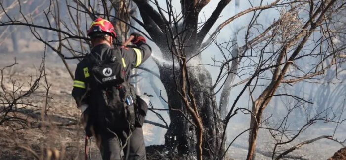 Πυρκαγιά στην Κεφαλονιά: Μήνυμα του 112 για εκκένωση τριών οικισμών